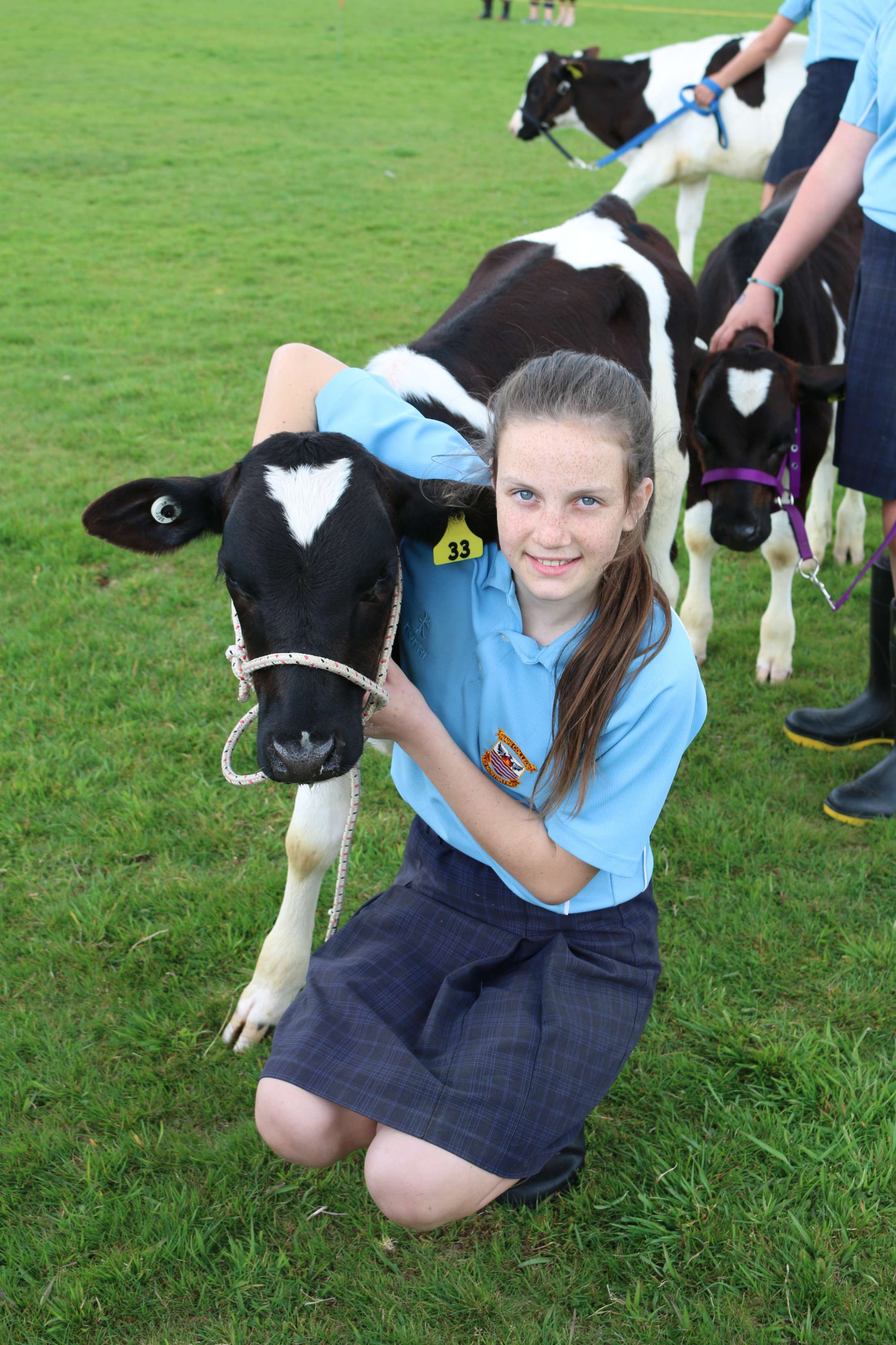 Calf Club