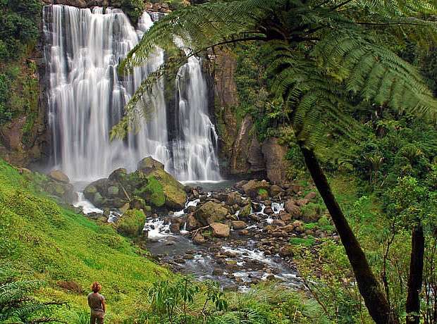 Nature